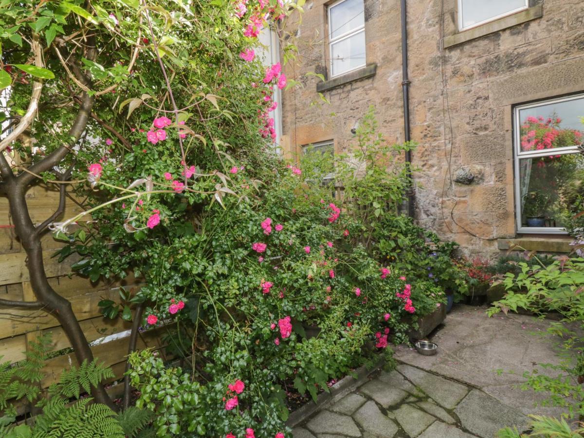 6 Ronald Place Stirling Bagian luar foto